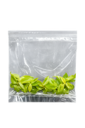 Philodendron Cherry Red TC (5 plants)